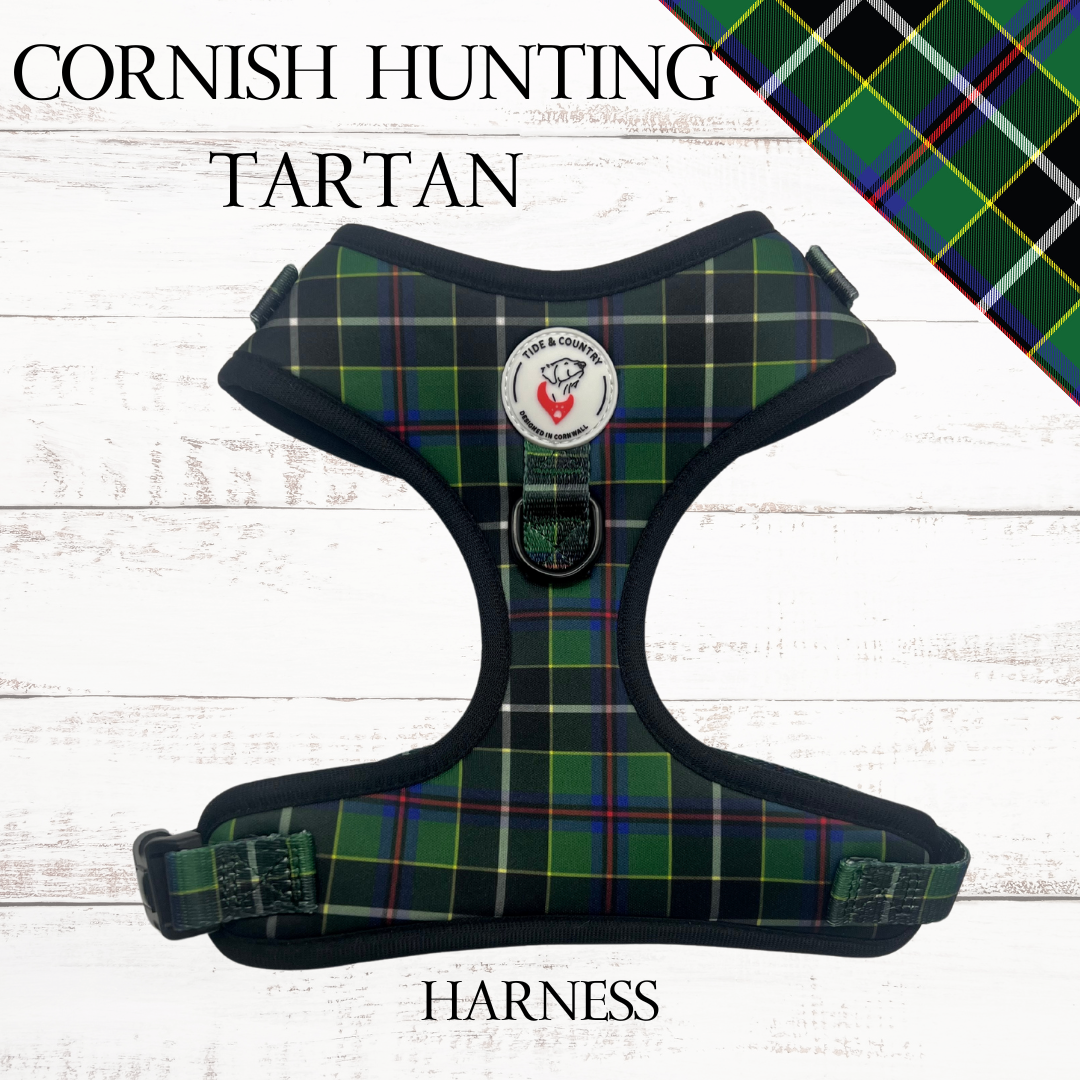 Cornish Hunting Tartan Dog Harness