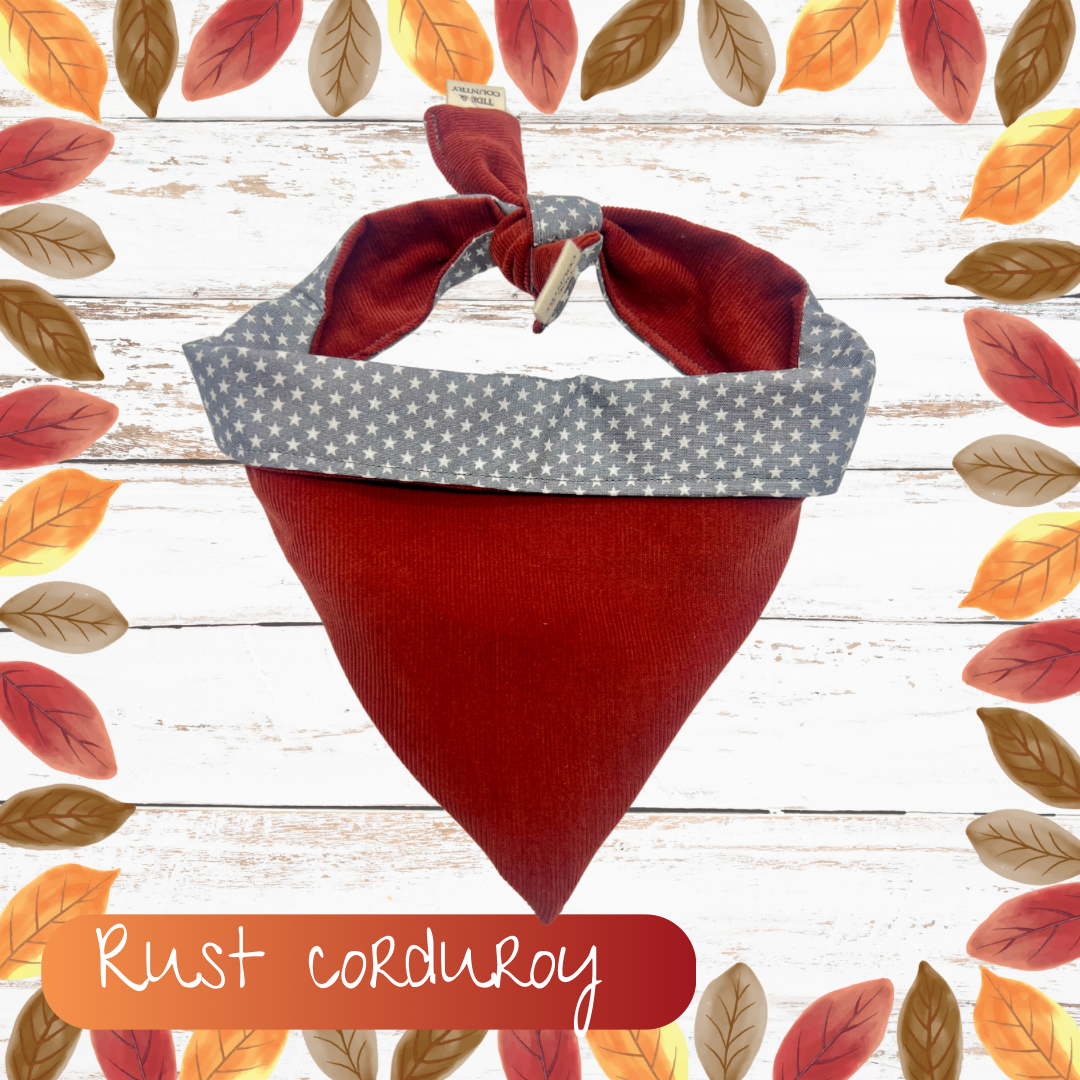 Rust corduroy dog bandana
