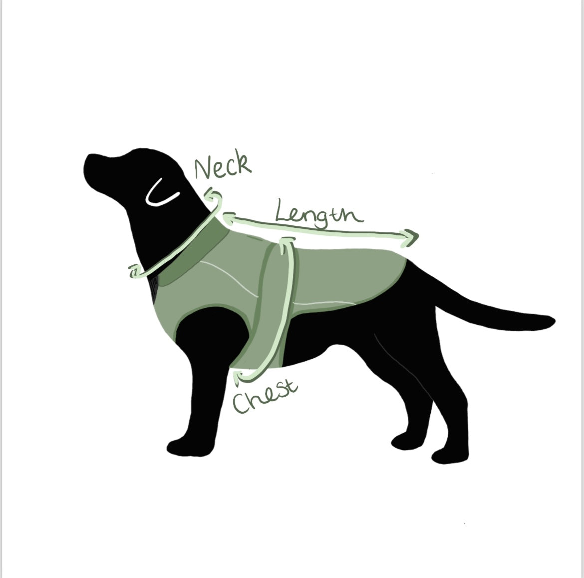 Forest & Fern Waterproof Dog Coat