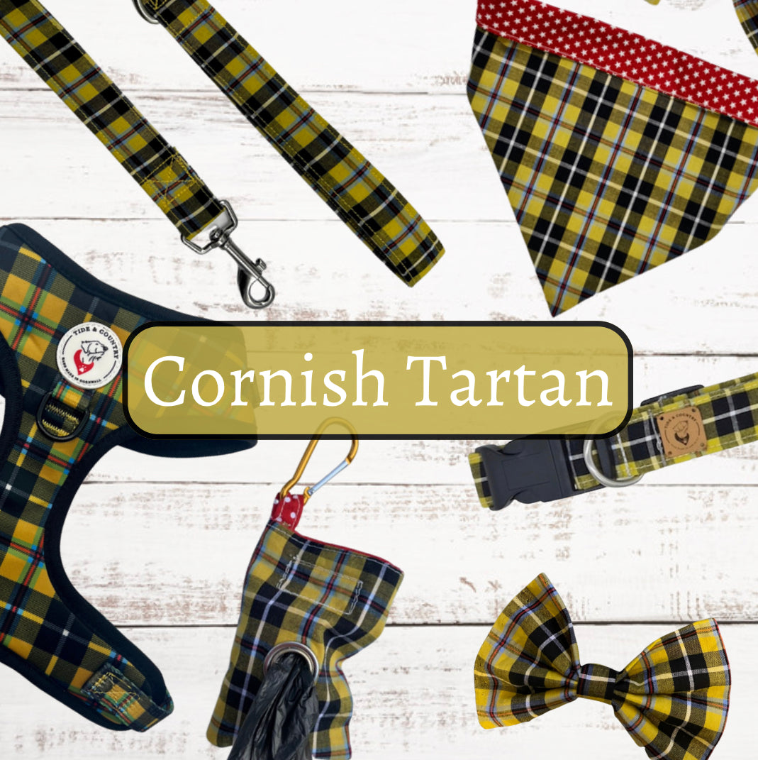 Cornish Tartan Dog Harness - Wholesale