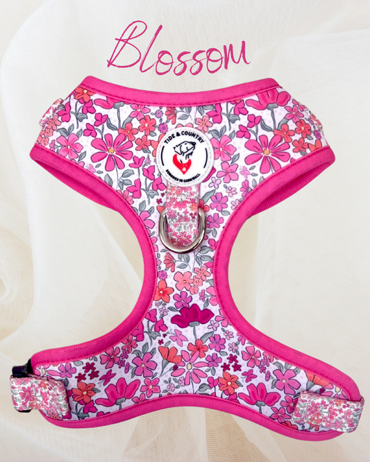 Blossom Dog Harness