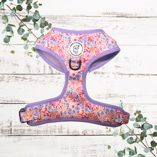 Lola Belle Dog Harness - Wholesale