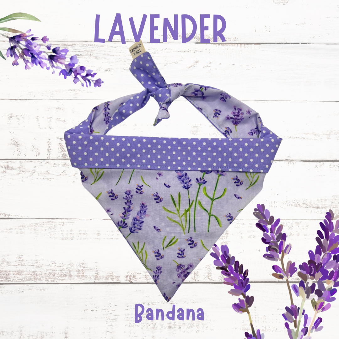 Lavender dog bandana