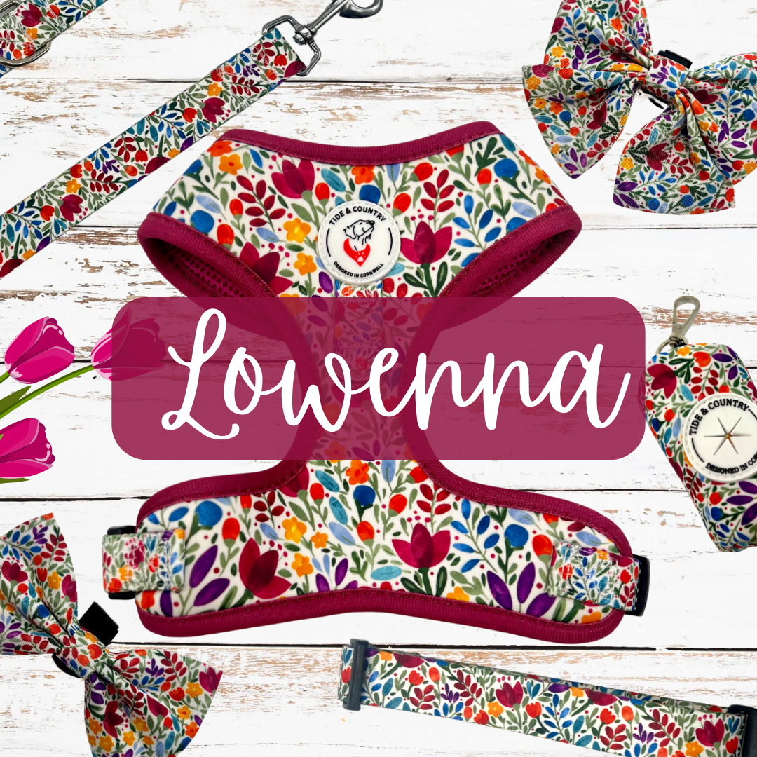 Lowenna floral dog collar