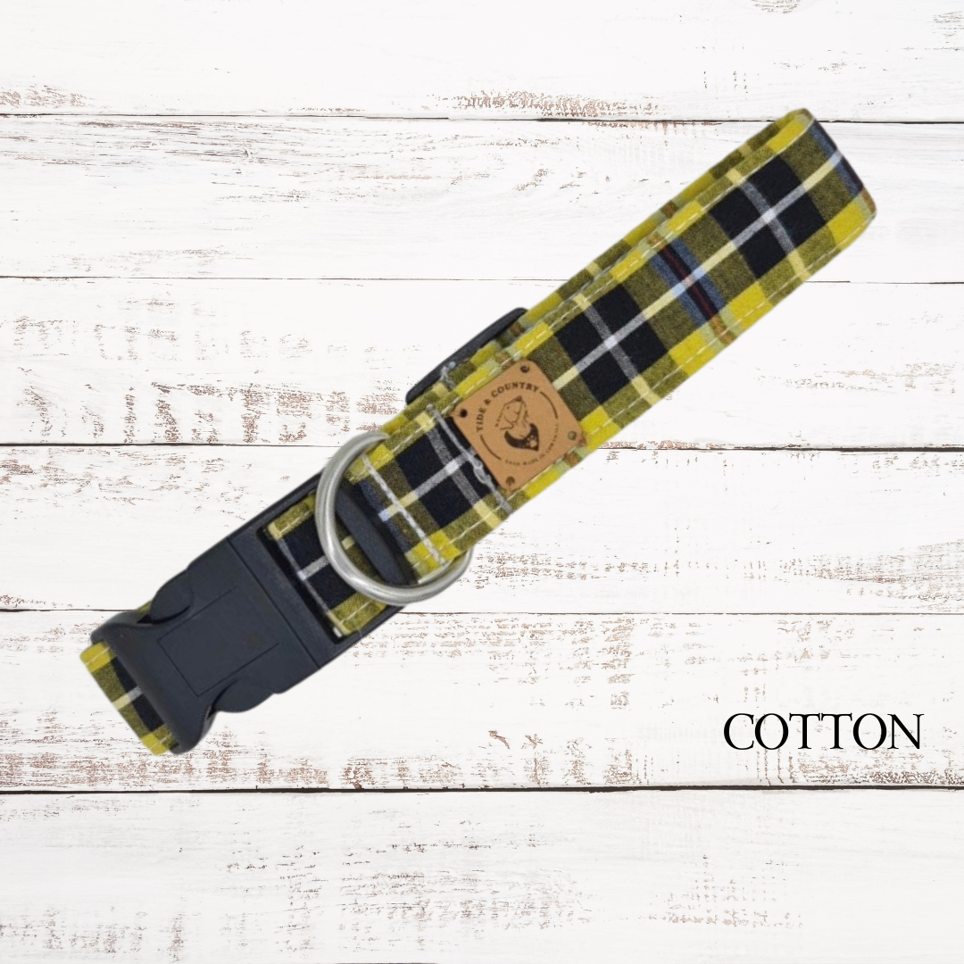Cornish Tartan Dog Collar in yellow tartan cotton fabric with black buckle