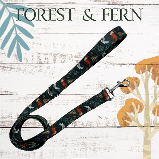 Forest & Fern lead
