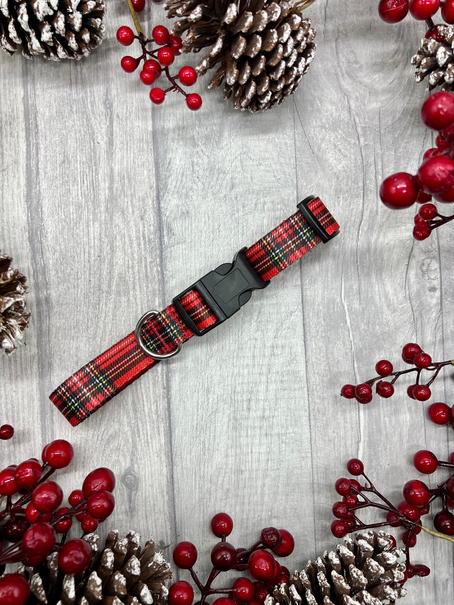 Stewart tartan dog collar
