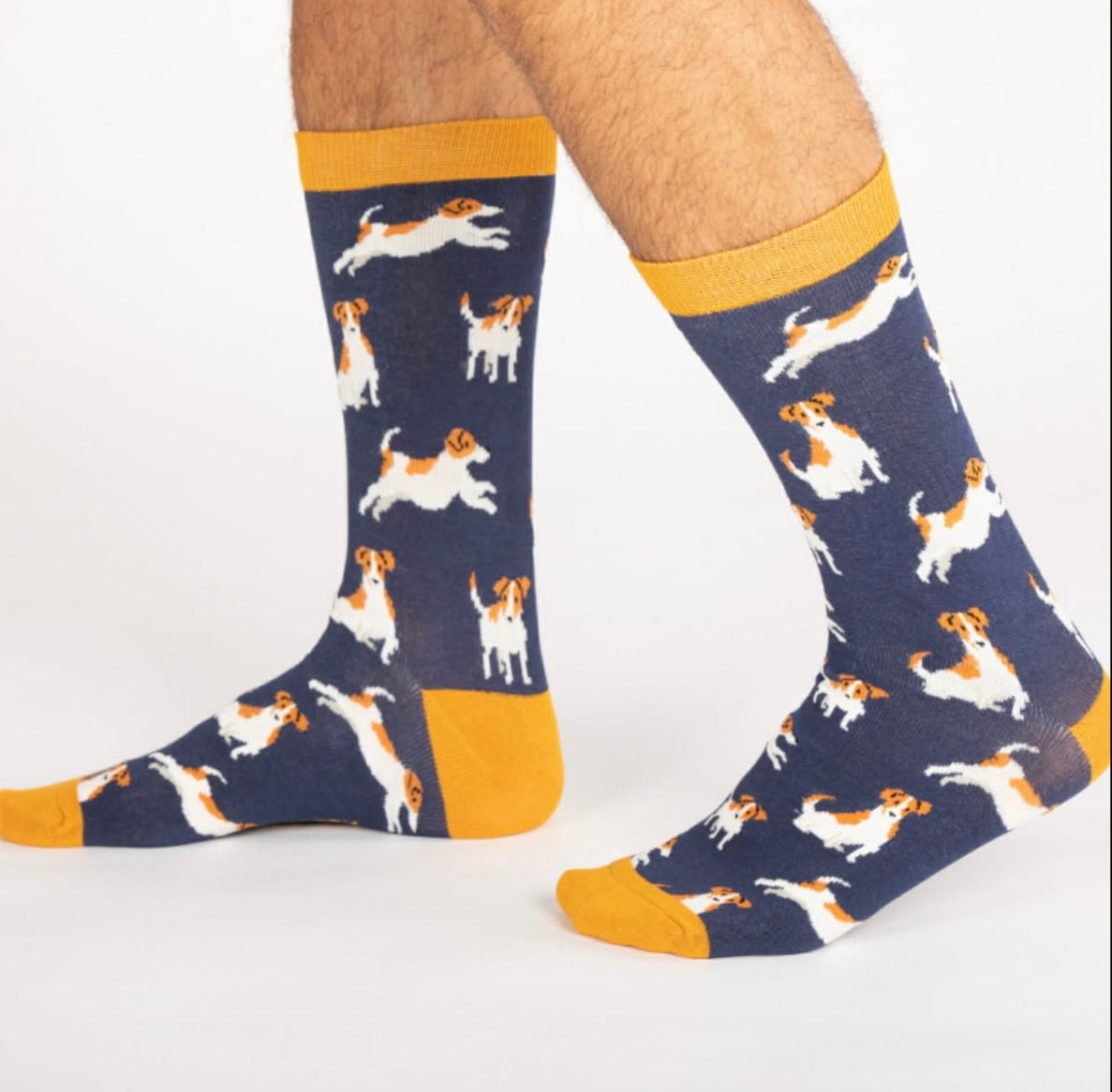 Jack Russell Men’s socks