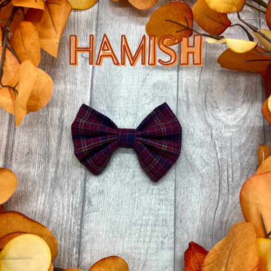 The Hamish
