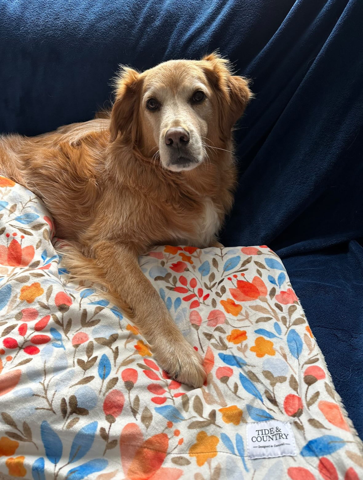 Mabel floral Dog blanket