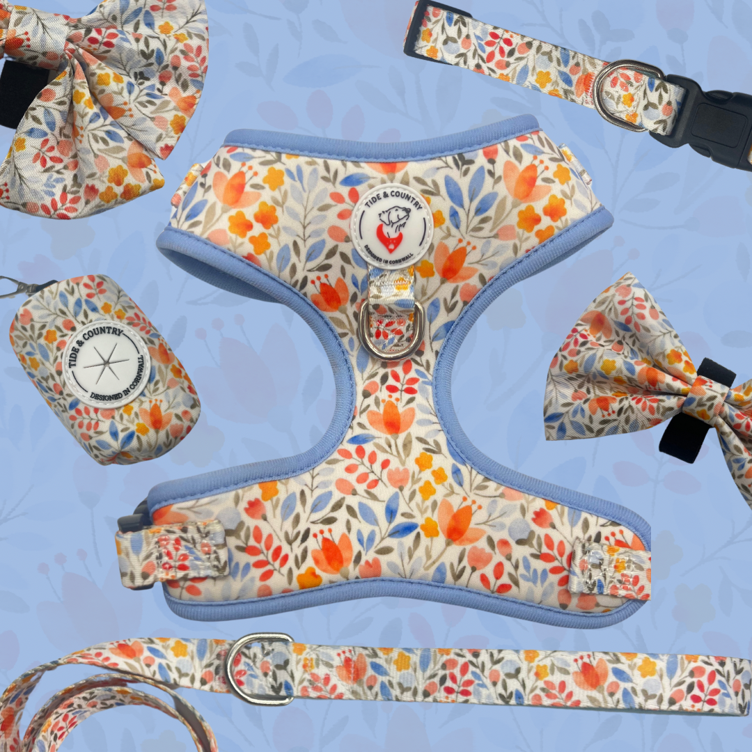 Mabel floral dog collar