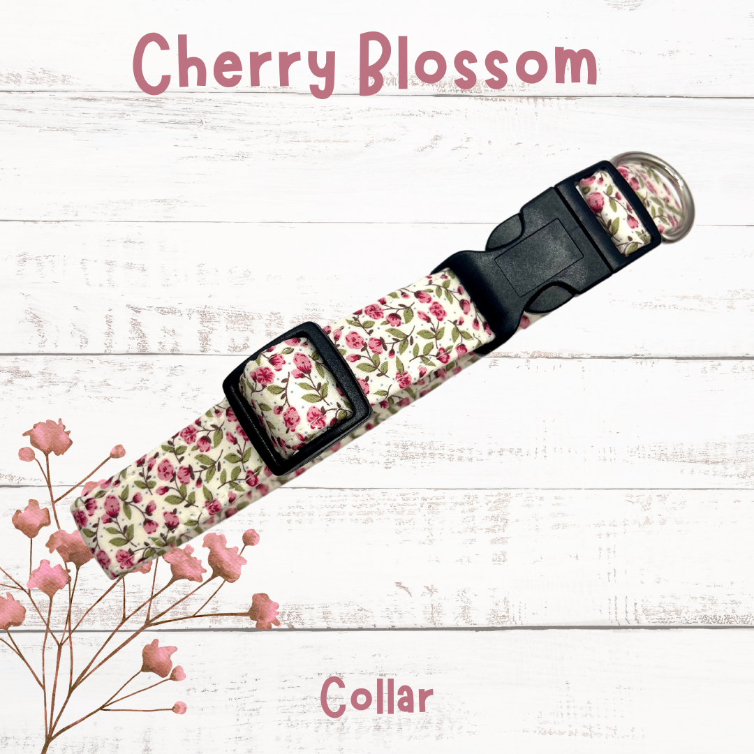 Cherry blossom dog collar hotsell