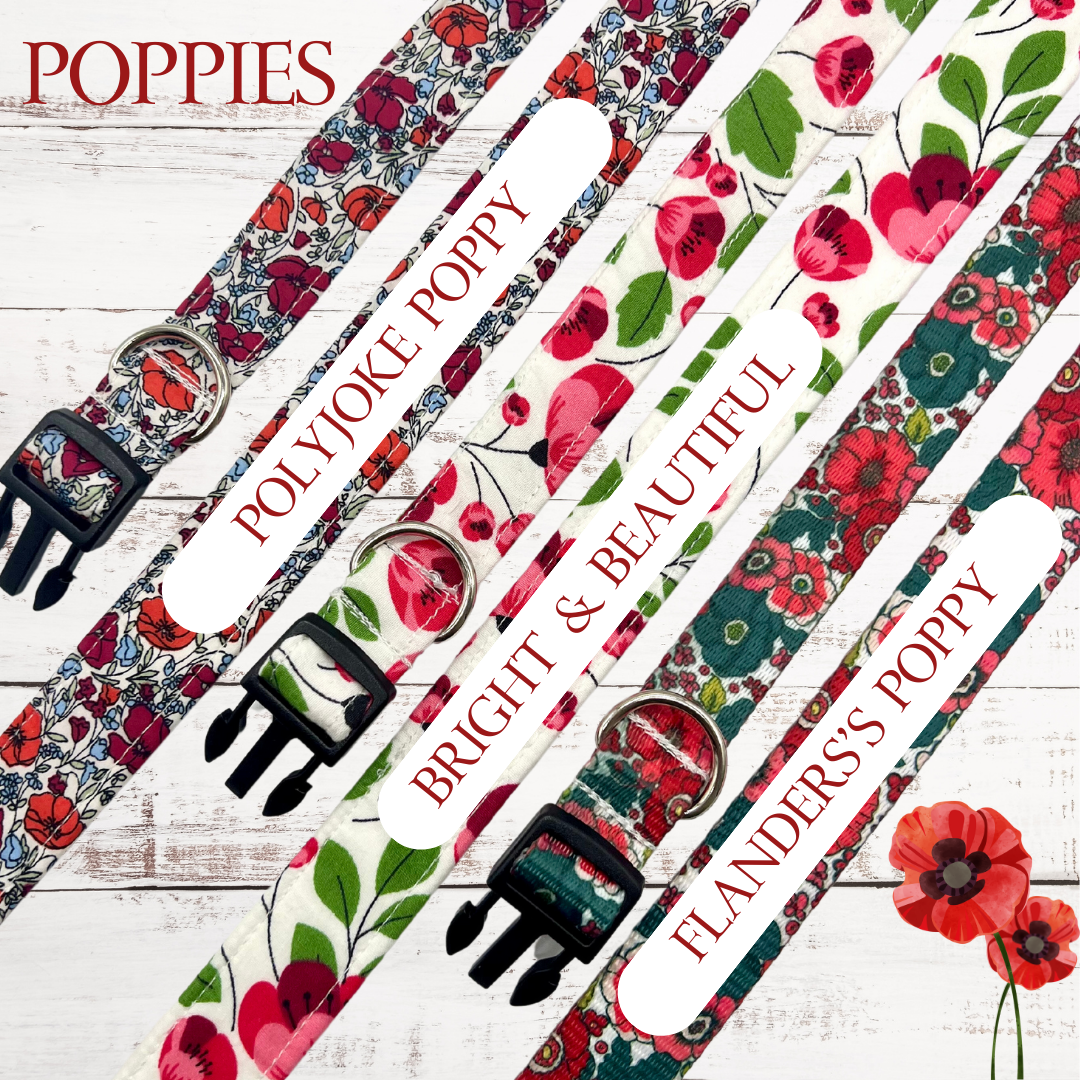 Bright and beautiful poppy print Dog Collar - Wholesale
