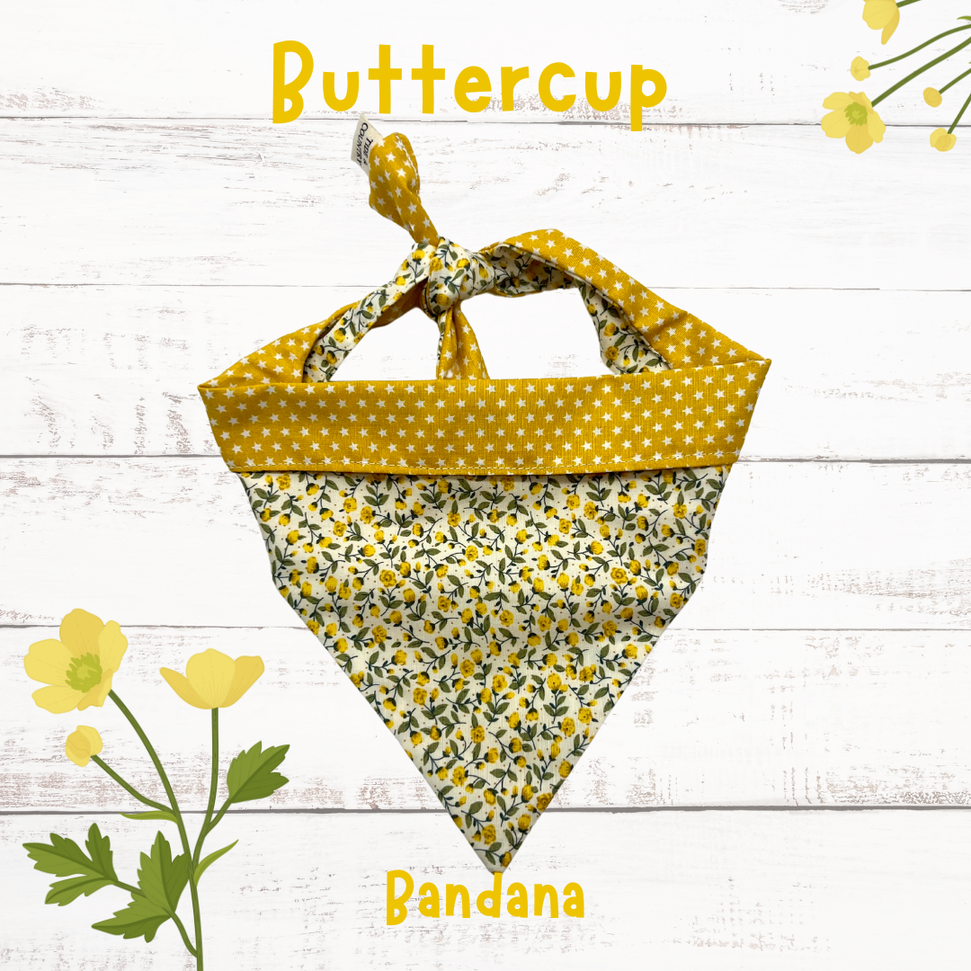 Buttercup dog bandana