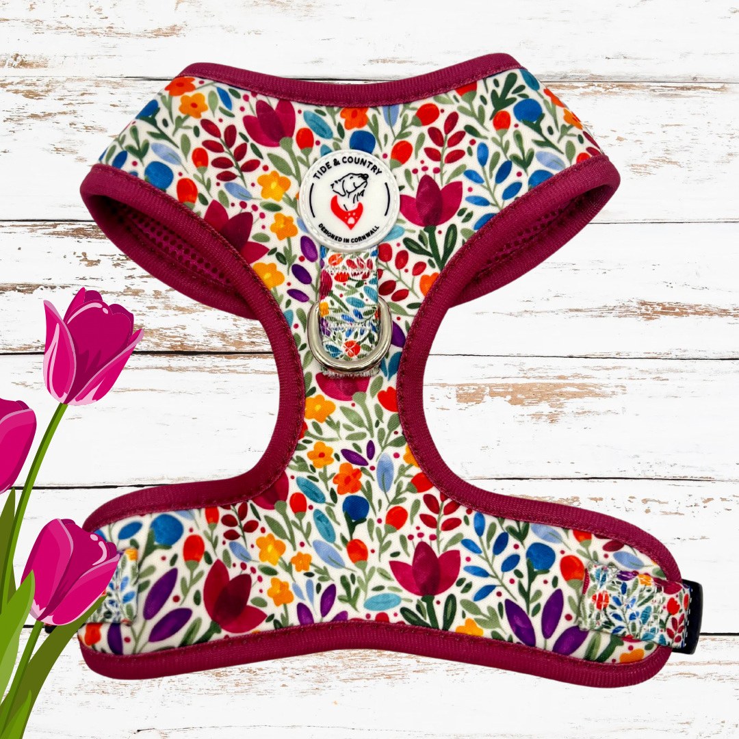 Lowenna floral dog harness