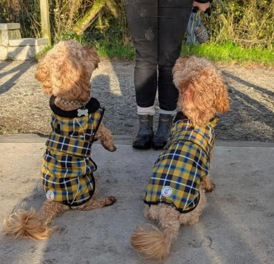 Cornish Tartan Waterproof Dog Coat