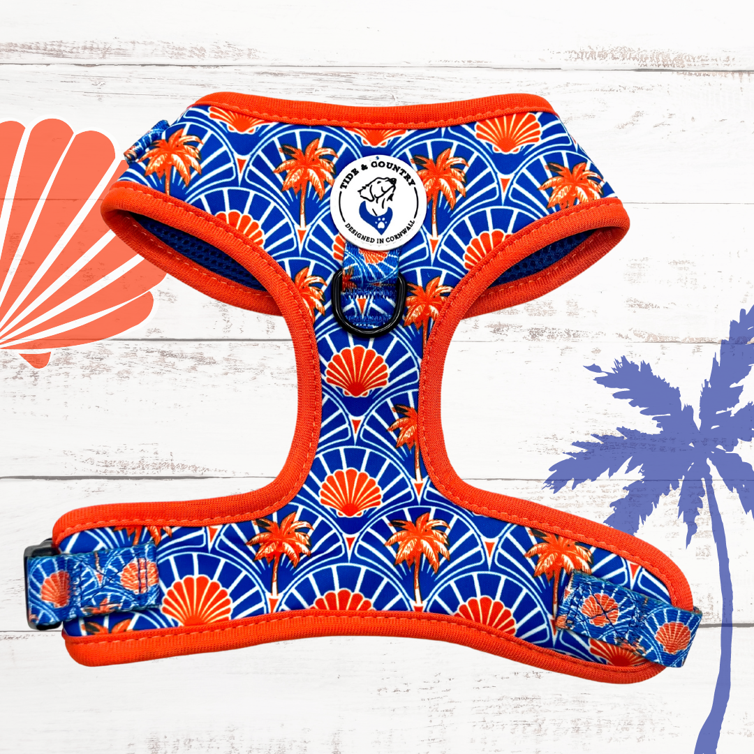 Shell yeah! Dog harness