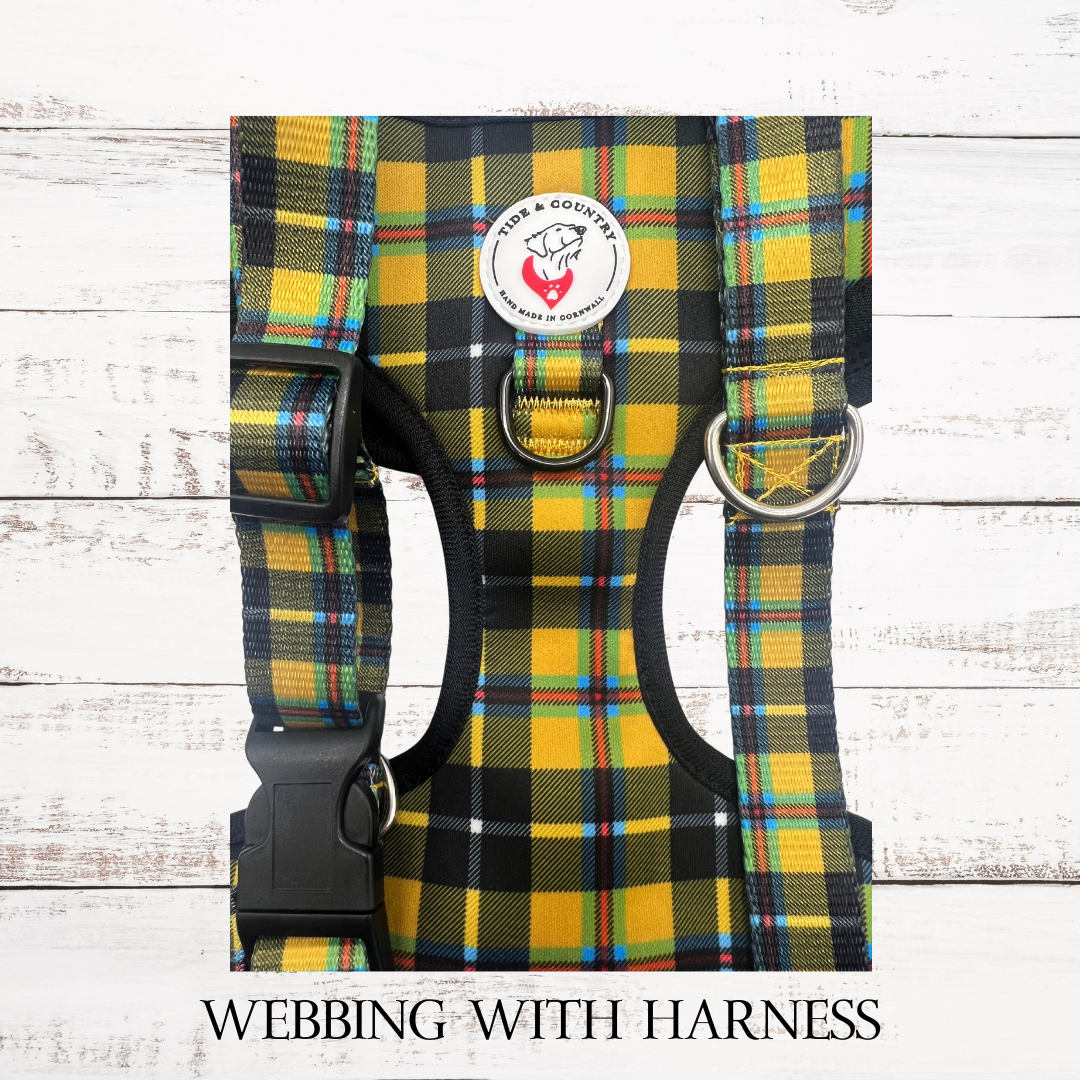 Ywllow cornish tartan dog collar and matching harness