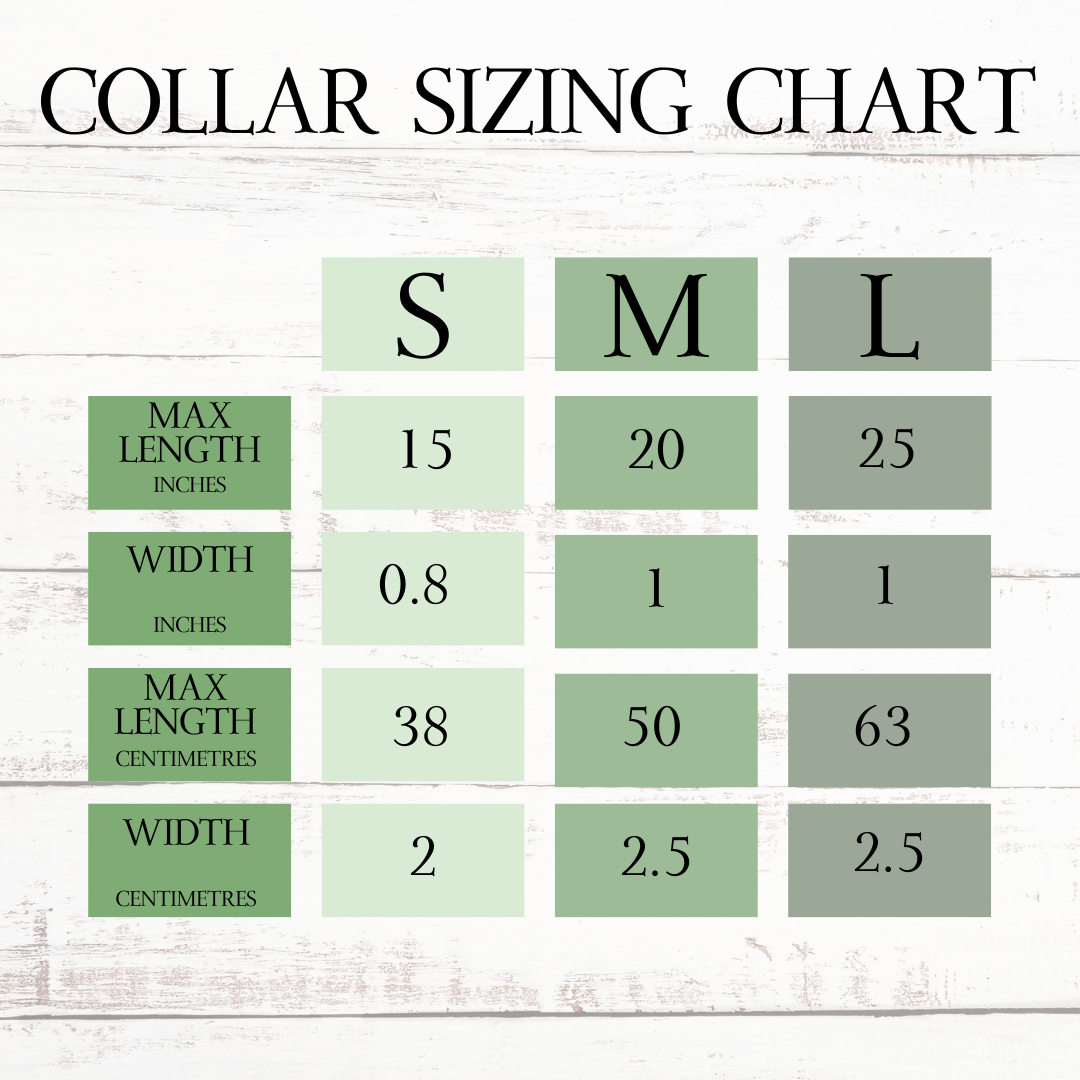 Strawberries & cream dog collar