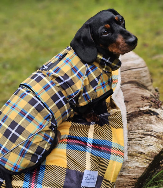 Cornish Tartan Waterproof Dog Coat