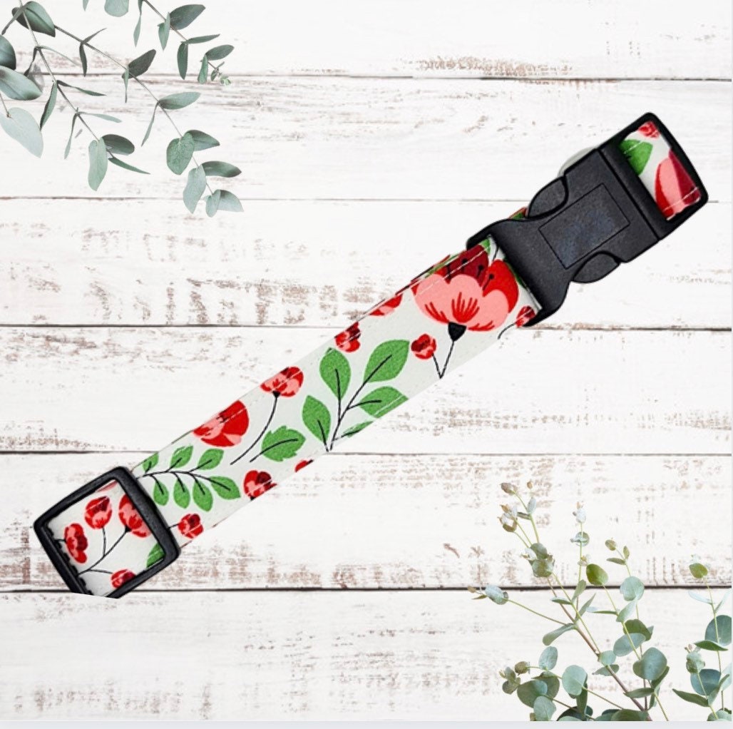 Bright and beautiful poppy print Dog Collar - Wholesale