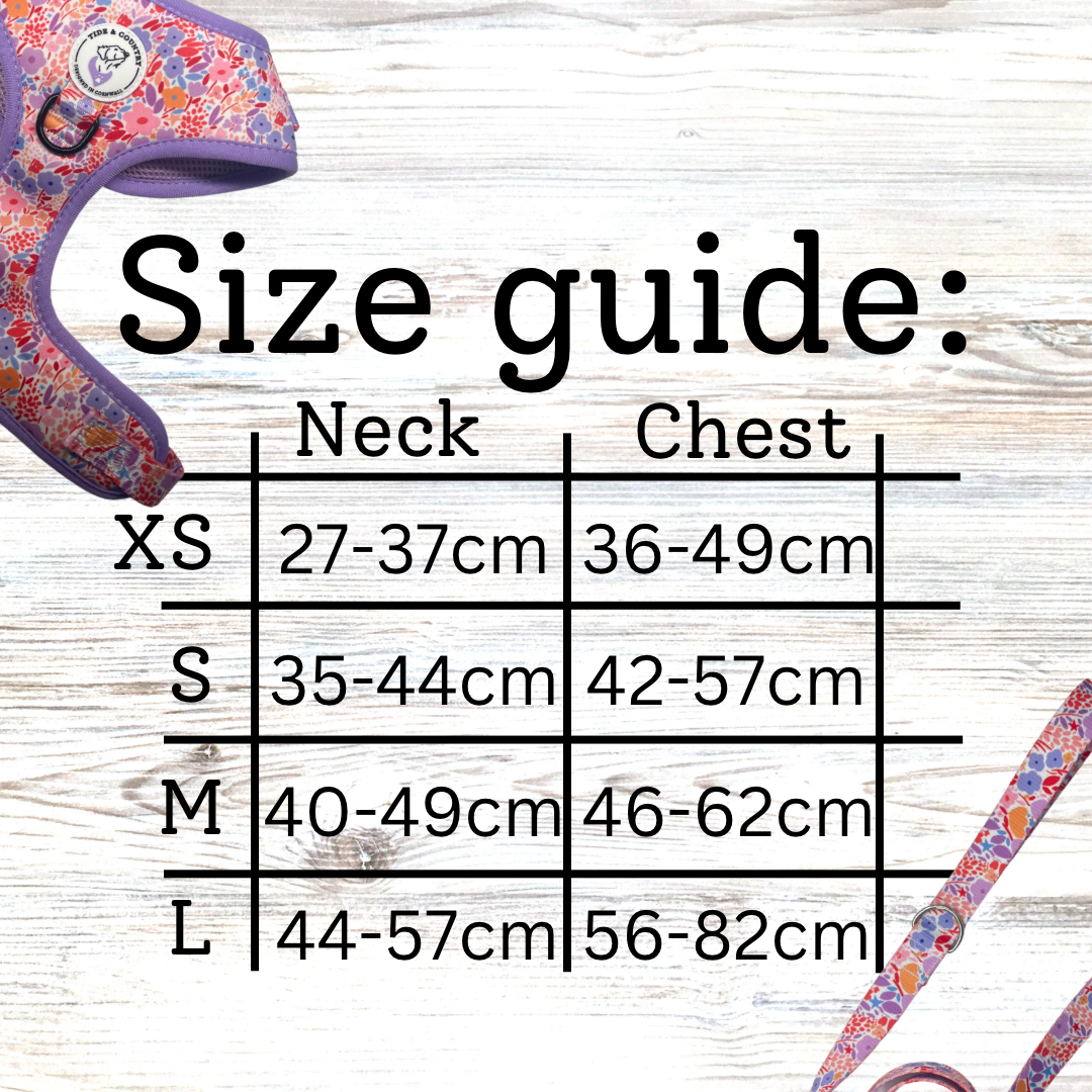 Lola belle dog harness