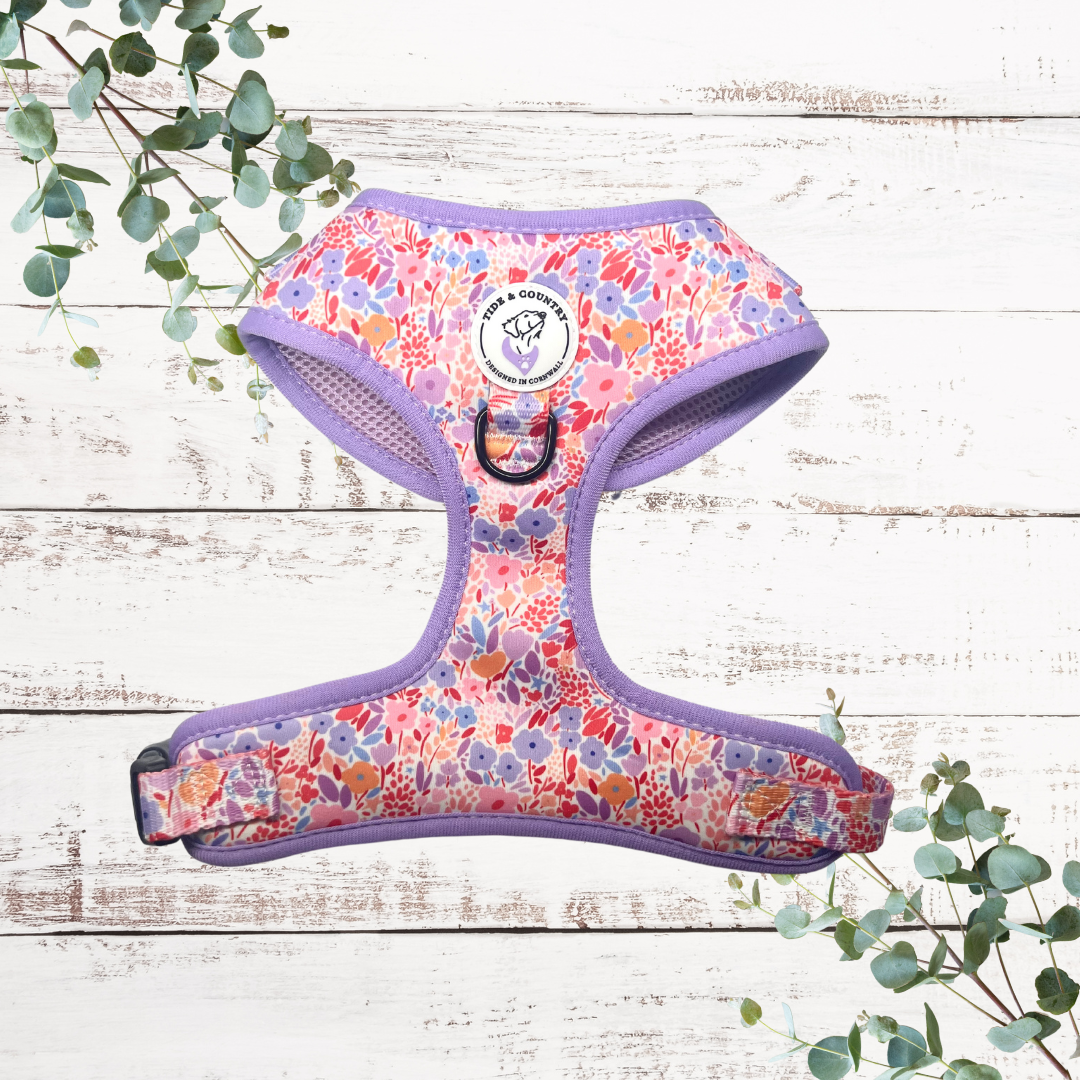 Lola belle dog harness
