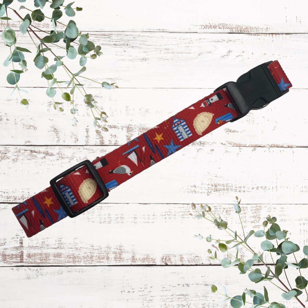 Good buoy dog collar