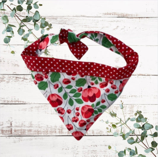 Bright and beautiful poppy reversible dog bandana