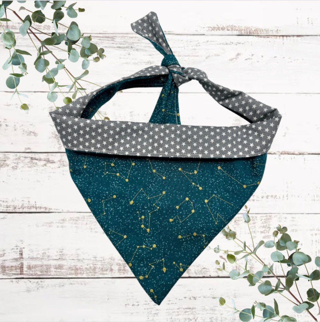 Stargazer teal reversible dog bandana