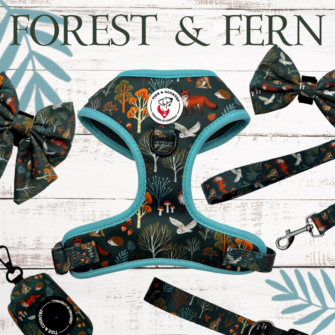 Forest & Fern sailor bow tie