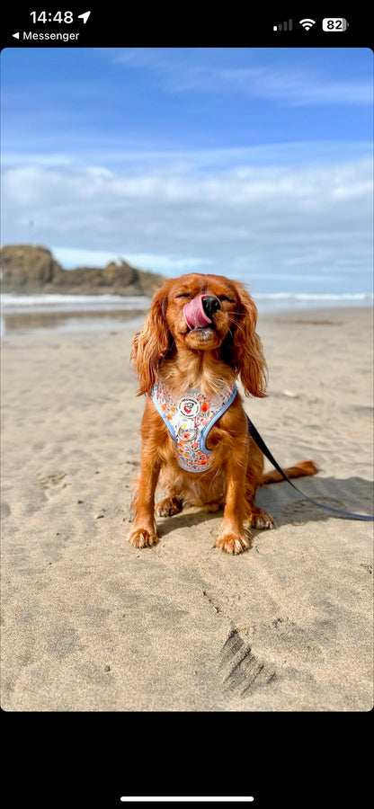 Mabel Floral Dog Harness - Wholesale