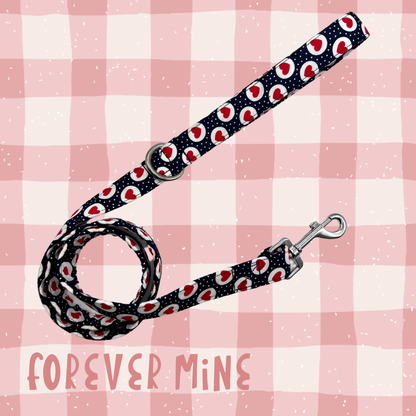Fur-ever mine dog lead