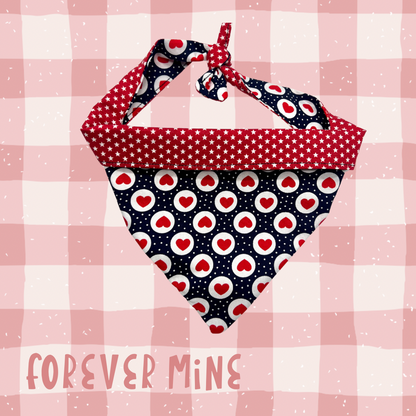 Fur-ever mine reversible dog bandana