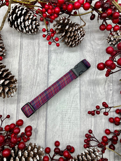 Hamish tartan dog collar