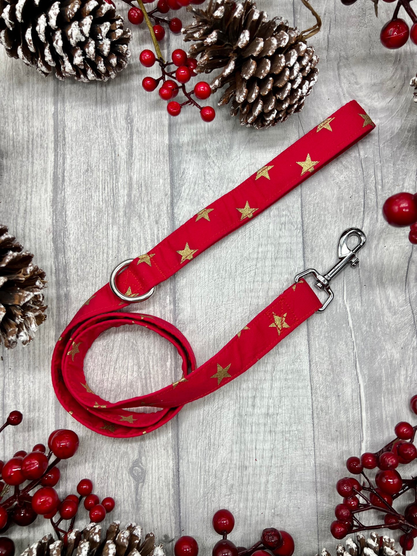 Christmas gold star on red dog lead