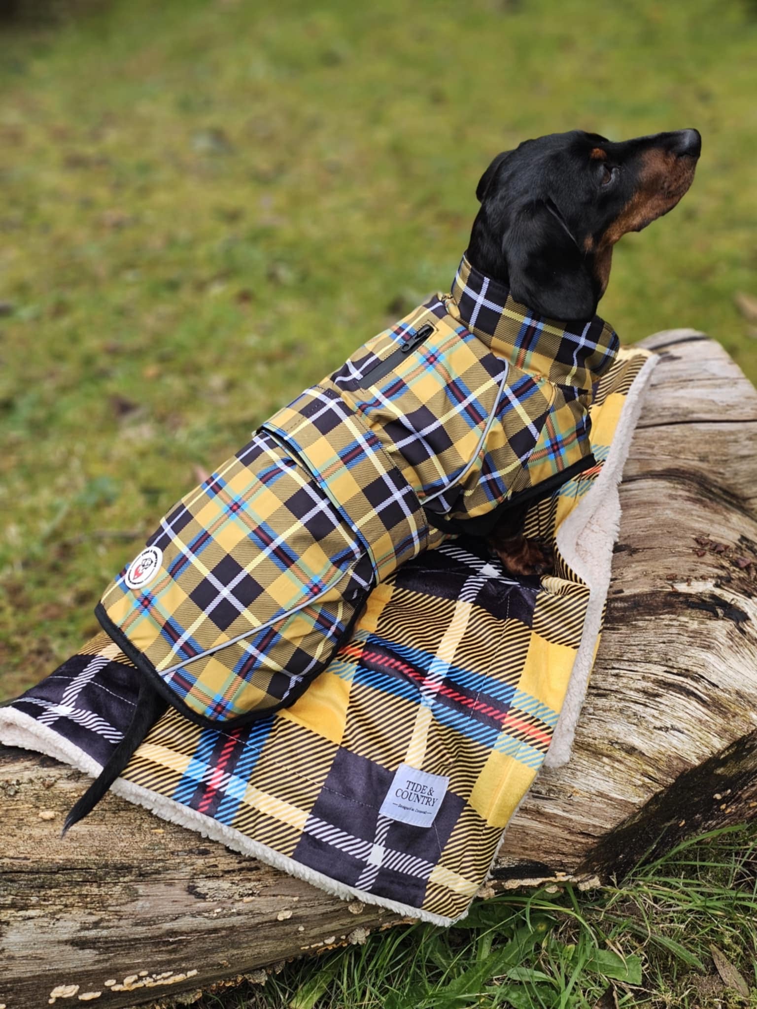 Best Sellers Cornish Dog Wear UK Delivery Tide Country