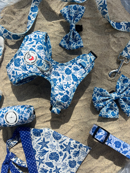 Sea shell dog collar