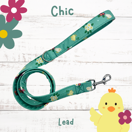 Chic easter dog lead
