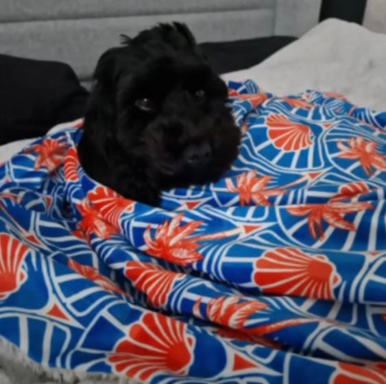 Shell yeah! Dog blanket