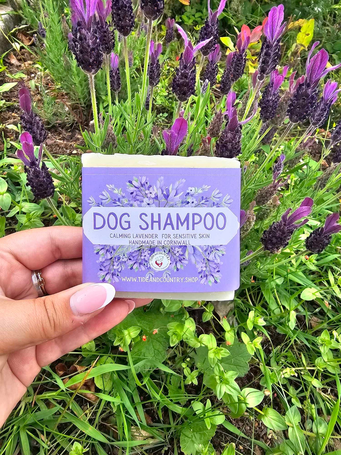 Natural dog shampoo bar