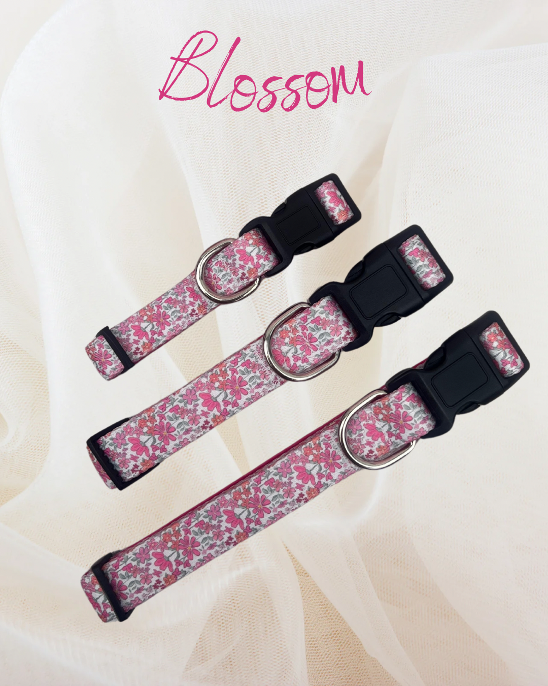 Blossom dog collar