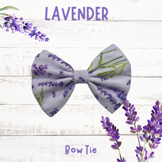 Lavender dog bow tie