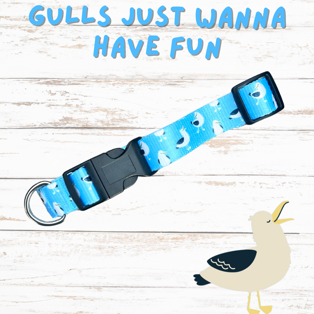 Gulls just wanna have fun dog collar