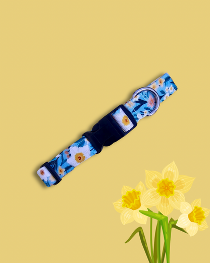 Spring daffodils collar