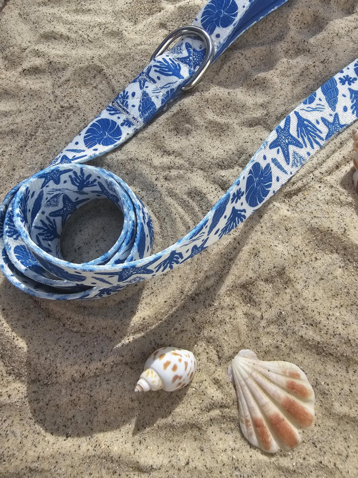 Sea shells dog lead