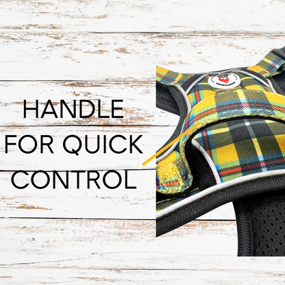 Close up of grab handle on tough tartan dog harness