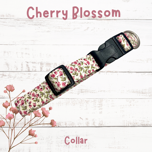 Cherry blossom dog collar