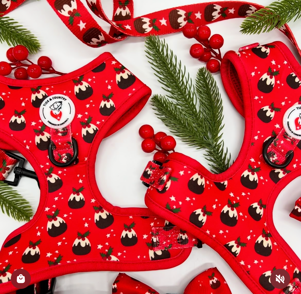 Paws off my puddin Dog blanket