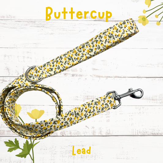 Buttercup dog lead